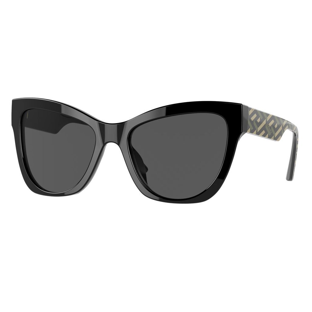 Versace VE 4417 535887 56  Güneş Gözlüğü