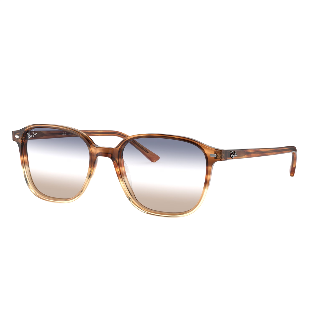 Ray-Ban Rb 2193 1328GD 51 Güneş Gözlüğü