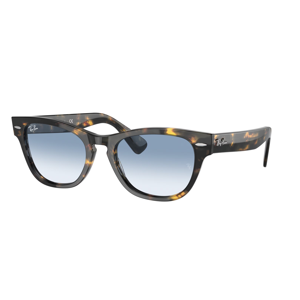 Ray-Ban Rb 2201 13323F 54  Güneş Gözlüğü