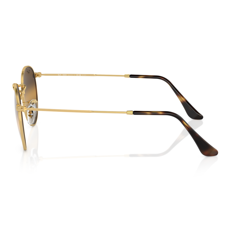 Ray-Ban Rb 3447 001/G5 50  Güneş Gözlüğü