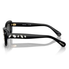 Swarovski SK 6008 100187 54  Güneş Gözlüğü