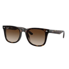 Ray-Ban Rb 4420 710/13 65  Güneş Gözlüğü