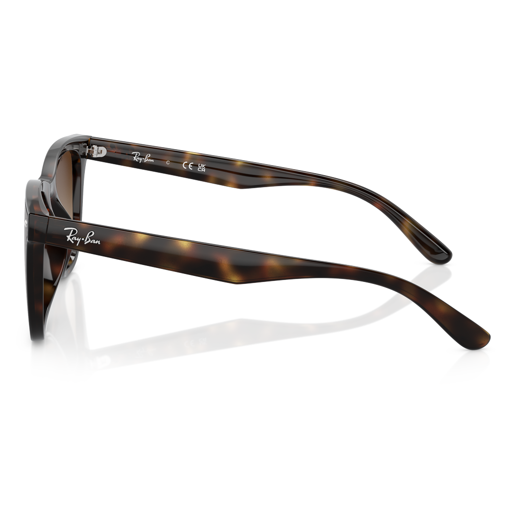 Ray-Ban Rb 4420 710/13 65  Güneş Gözlüğü