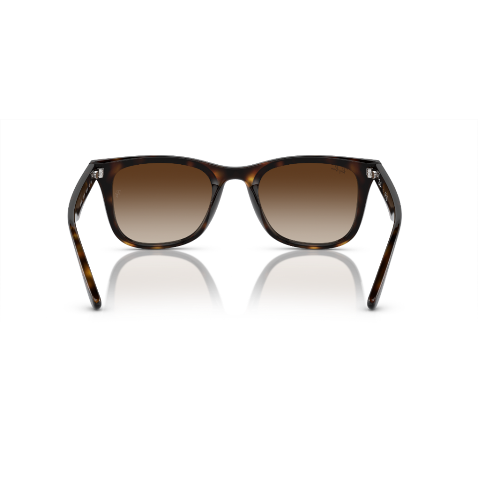 Ray-Ban Rb 4420 710/13 65  Güneş Gözlüğü