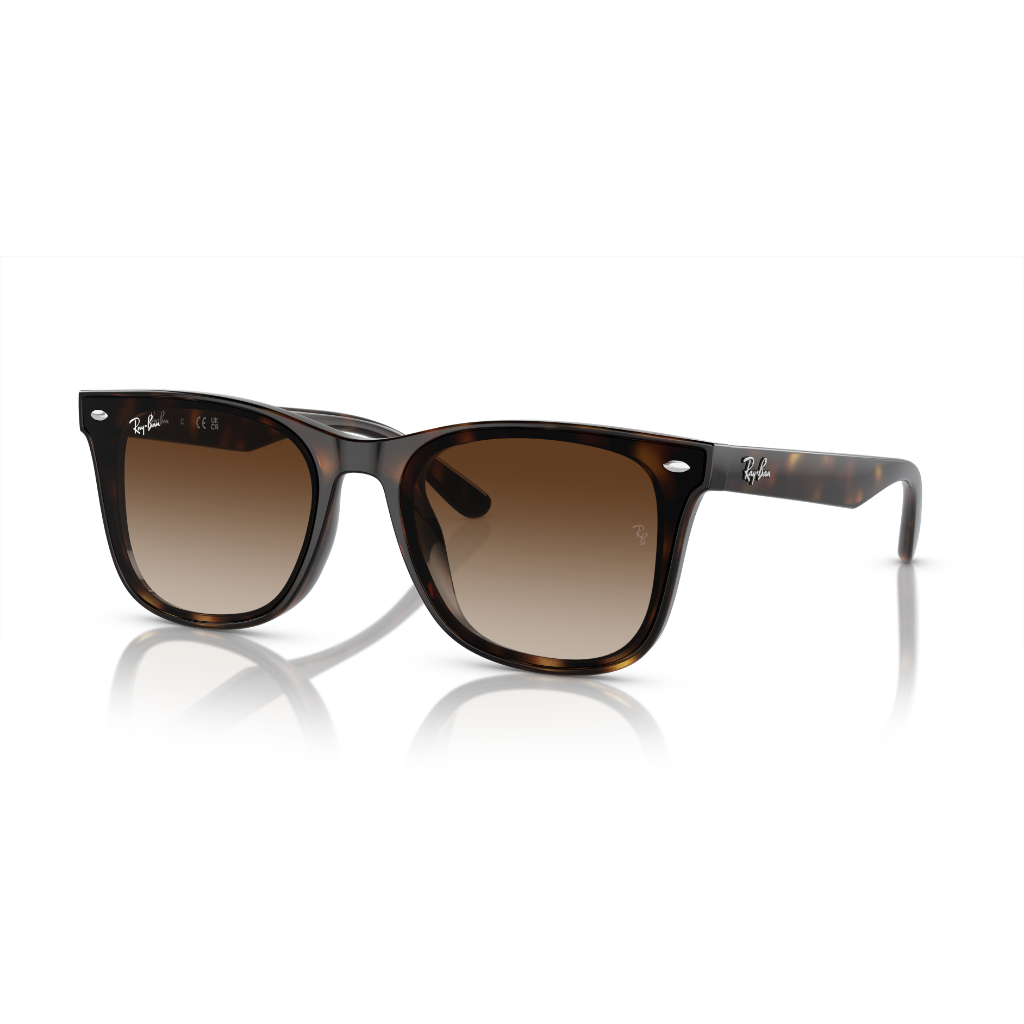 Ray-Ban Rb 4420 710/13 65  Güneş Gözlüğü