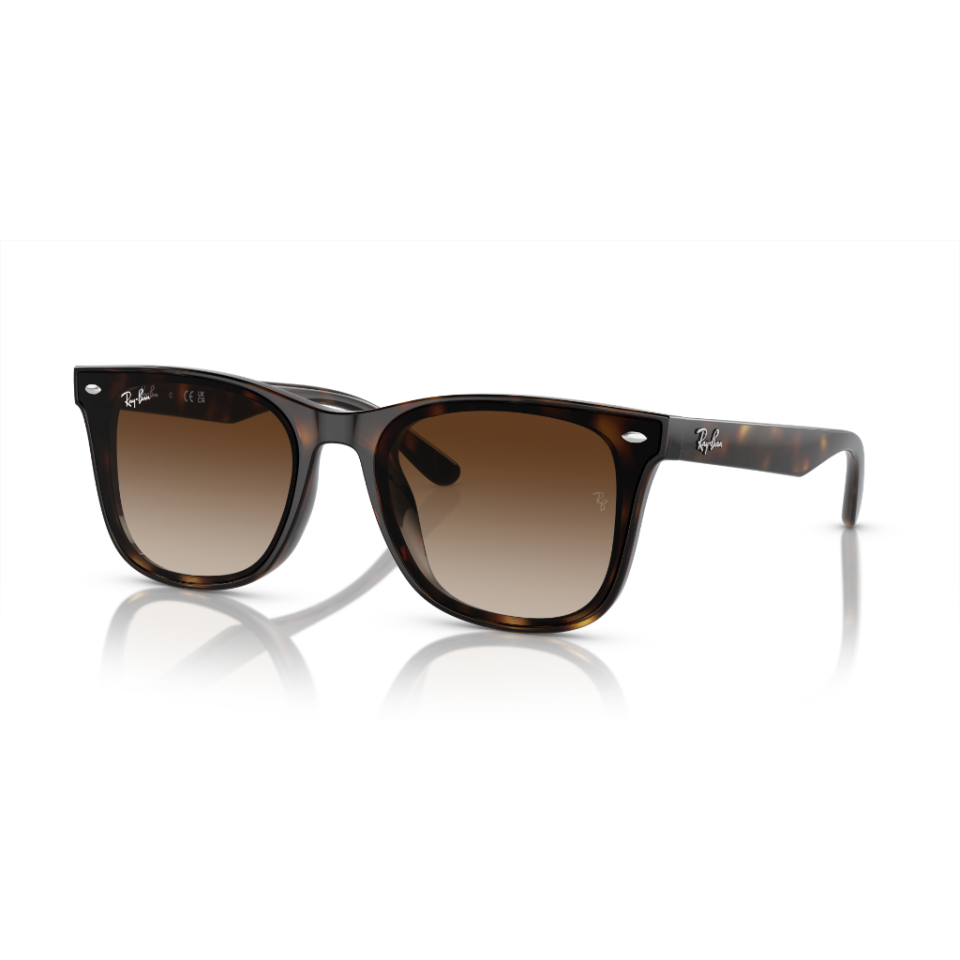 Ray-Ban Rb 4420 710/13 65  Güneş Gözlüğü