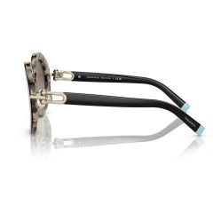 Tiffany Co. TF 4201 82562Q 50  Güneş Gözlüğü