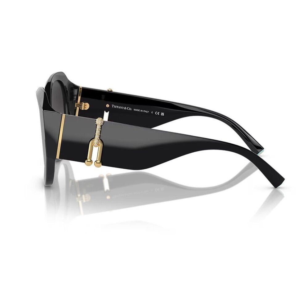 Tiffany Co. TF 4207B 80013C 55 Güneş Gözlüğü