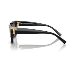 Tiffany Co. TF 4205U 8001S4 56  Güneş Gözlüğü