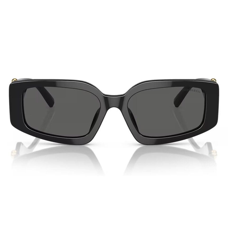 Tiffany Co TF 4208U 8001S4 54  Güneş Gözlüğü