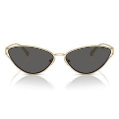 Tiffany Co. TF 3095 6021S4 61  Güneş Gözlüğü