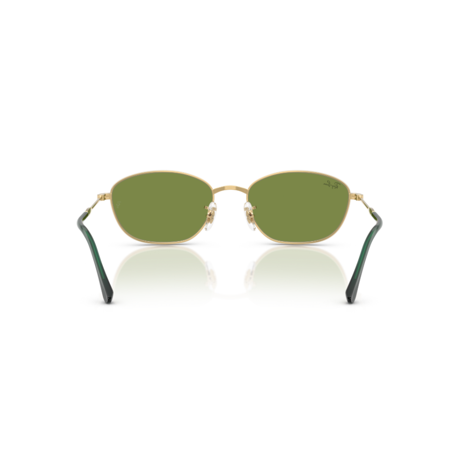 Ray-Ban RB 3749 001/4E 55 Güneş Gözlüğü