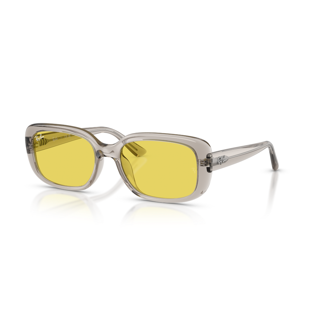 Ray-Ban RB 4421D 681885 56 Güneş Gözlüğü