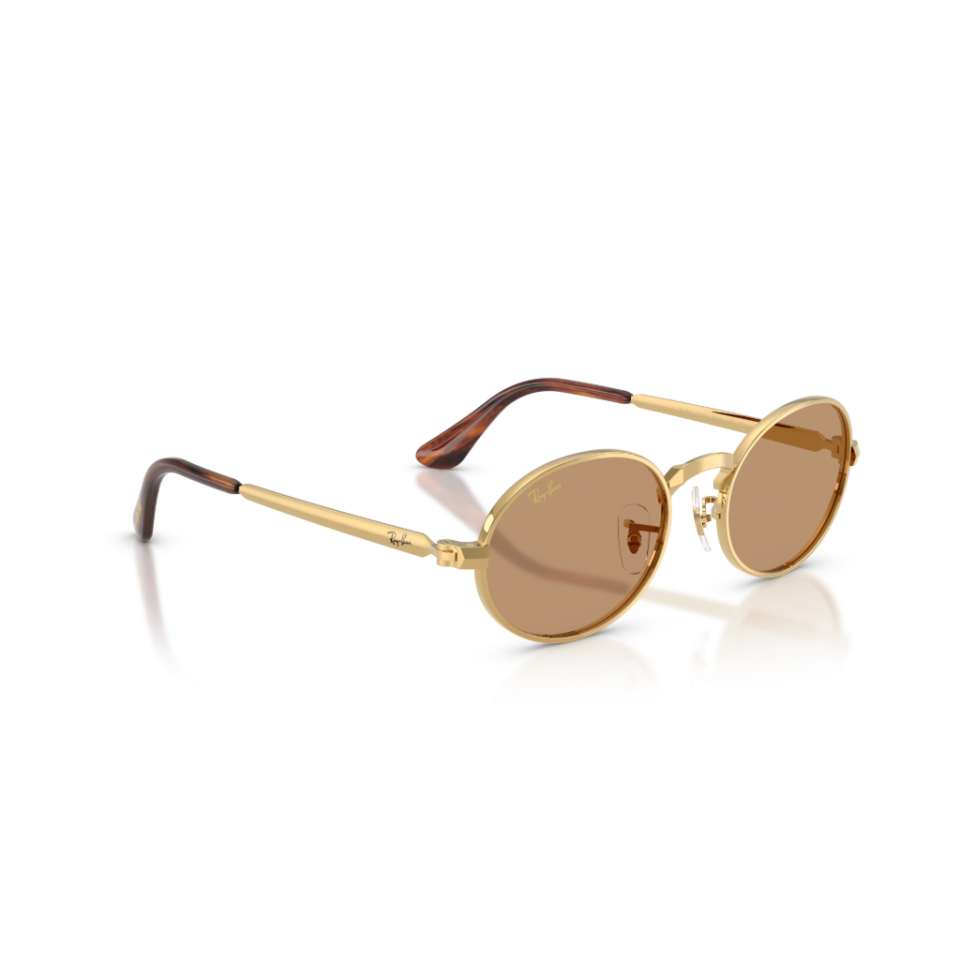 Ray-Ban RB 3931 001/53 54 Güneş Gözlüğü