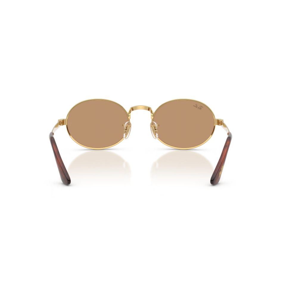 Ray-Ban RB 3931 001/53 54 Güneş Gözlüğü