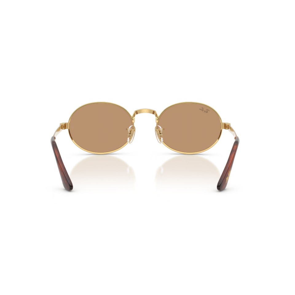Ray-Ban RB 3931 001/53 54 Güneş Gözlüğü