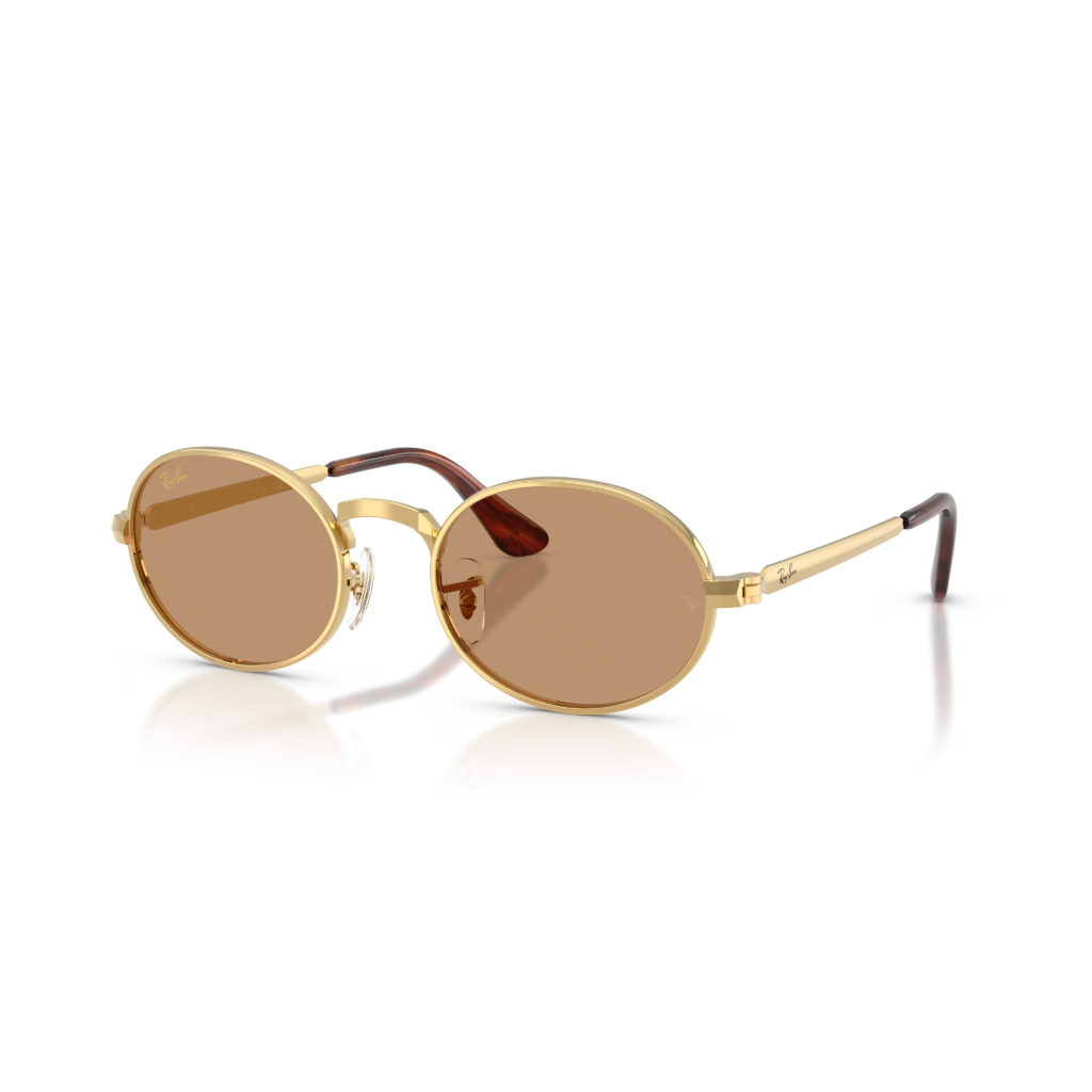Ray-Ban RB 3931 001/53 54 Güneş Gözlüğü