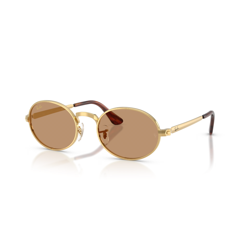 Ray-Ban RB 3931 001/53 54 Güneş Gözlüğü