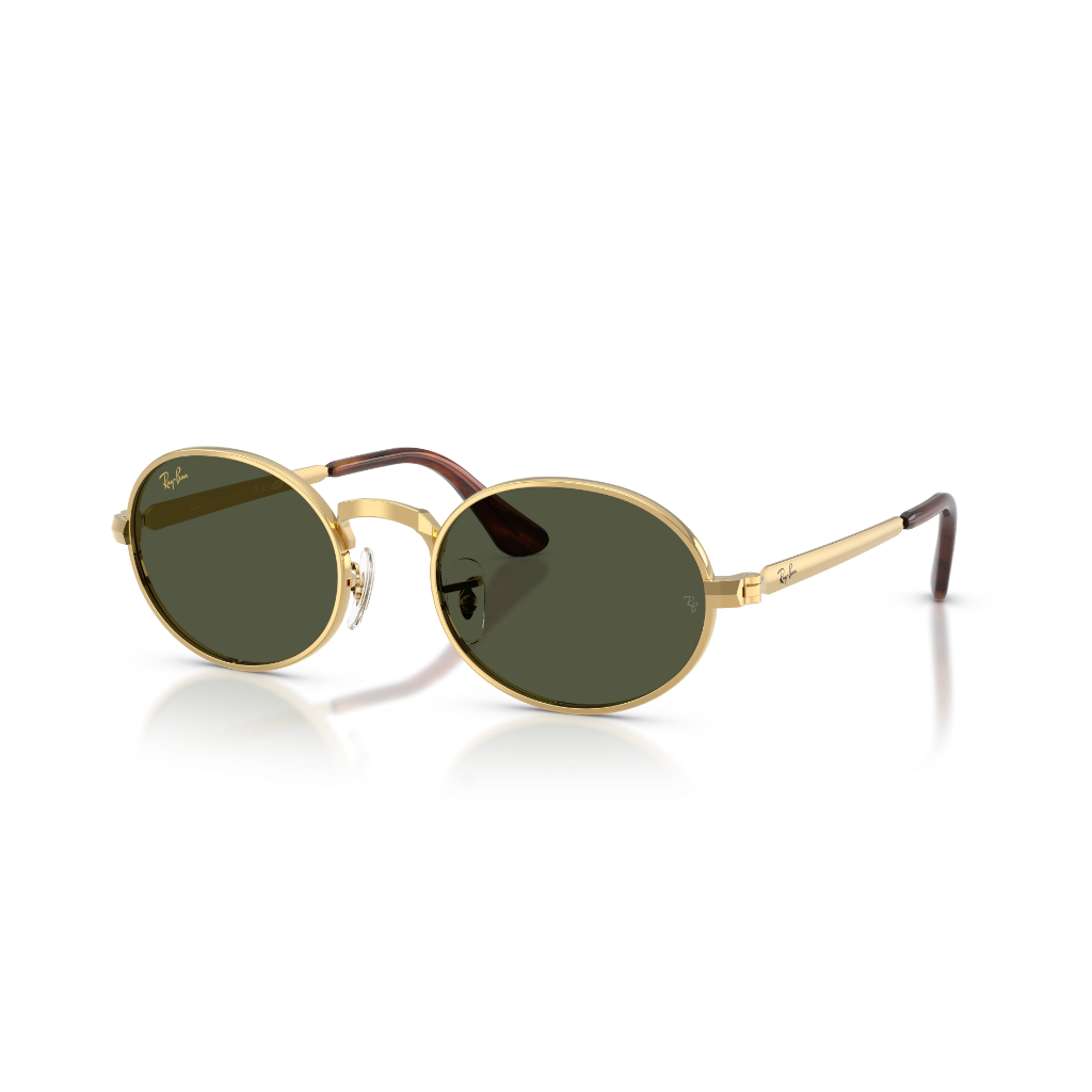Ray-Ban A$AP ROCKY RB 3931 001/31 54 Güneş Gözlüğü