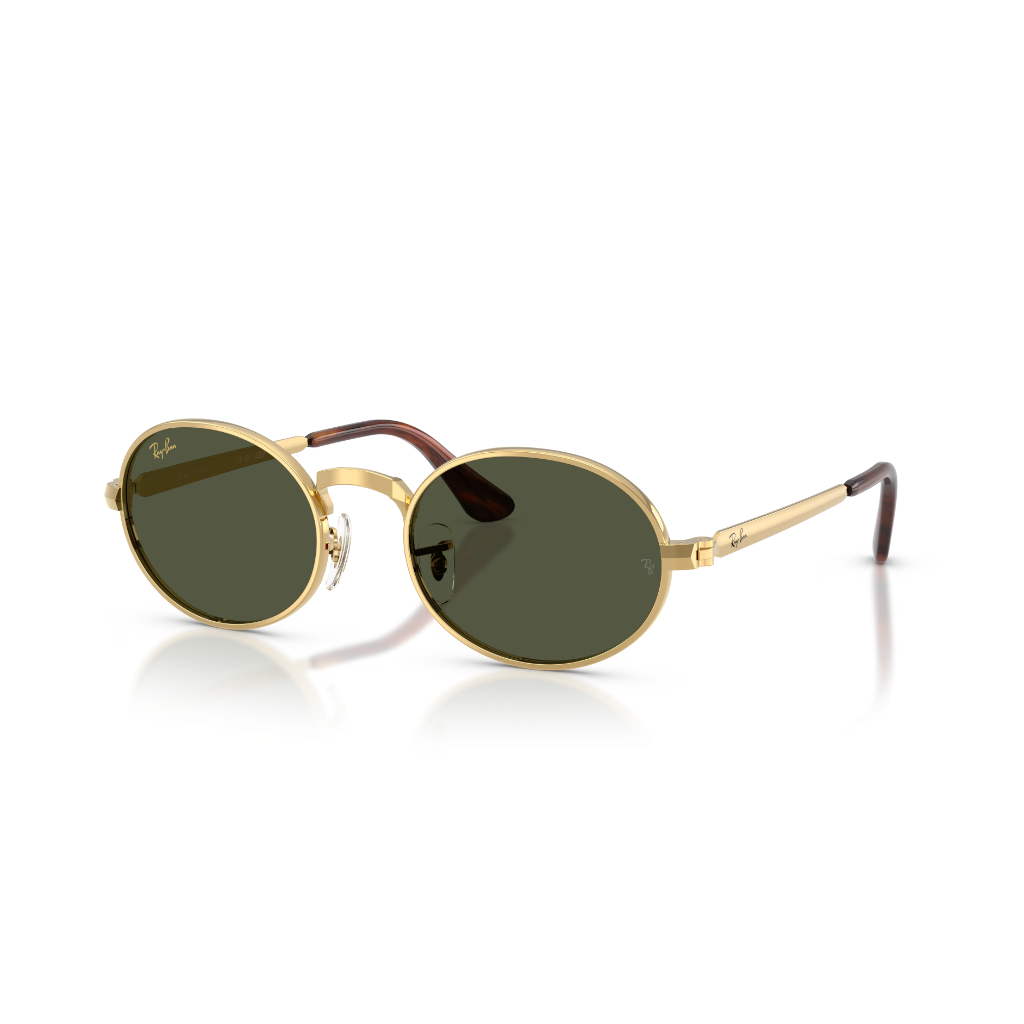 Ray-Ban A$AP ROCKY RB 3931 001/31 54 Güneş Gözlüğü