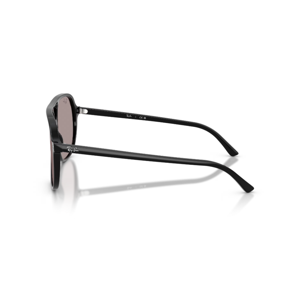 Ray-Ban Bill RB 2198 901/53 60