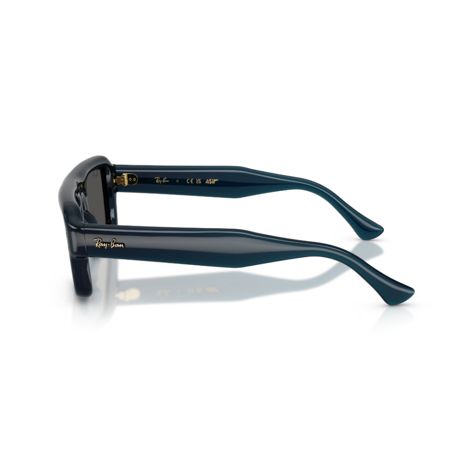 Ray-Ban RB 4954 689587 54 Güneş Gözlüğü