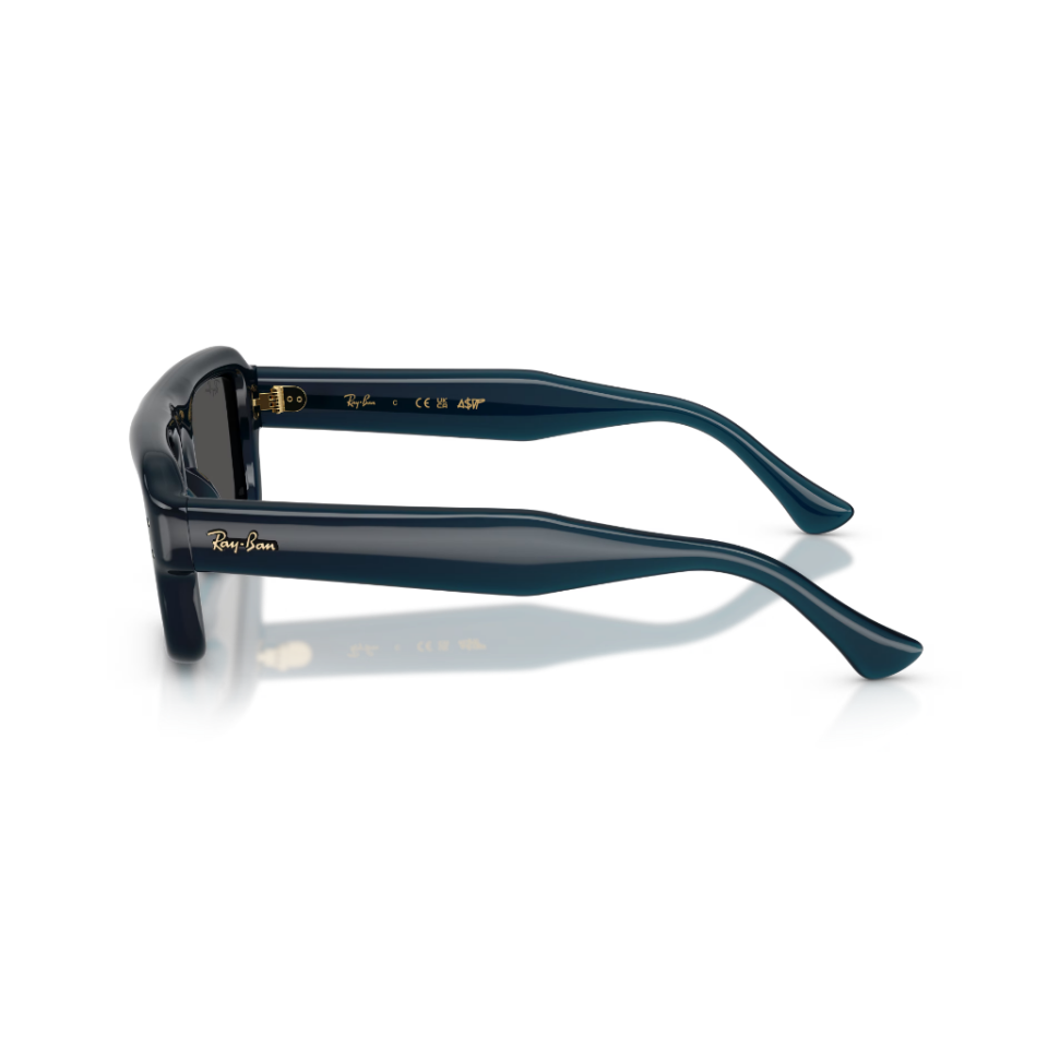 Ray-Ban RB 4954 689587 52 Güneş Gözlüğü
