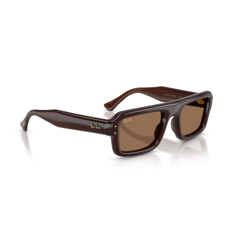 Ray-Ban RB 4954 689673 54 Güneş Gözlüğü