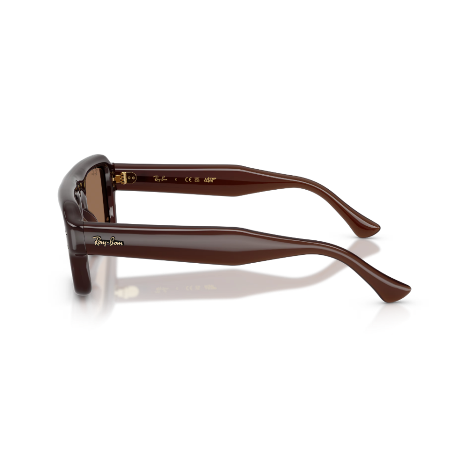 Ray-Ban RB 4954 689673 54 Güneş Gözlüğü