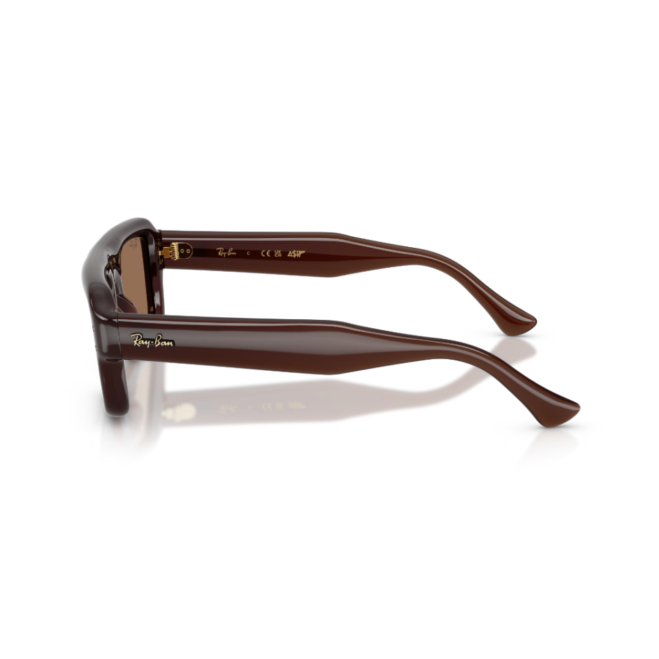 Ray-Ban RB 4954 689673 54 Güneş Gözlüğü