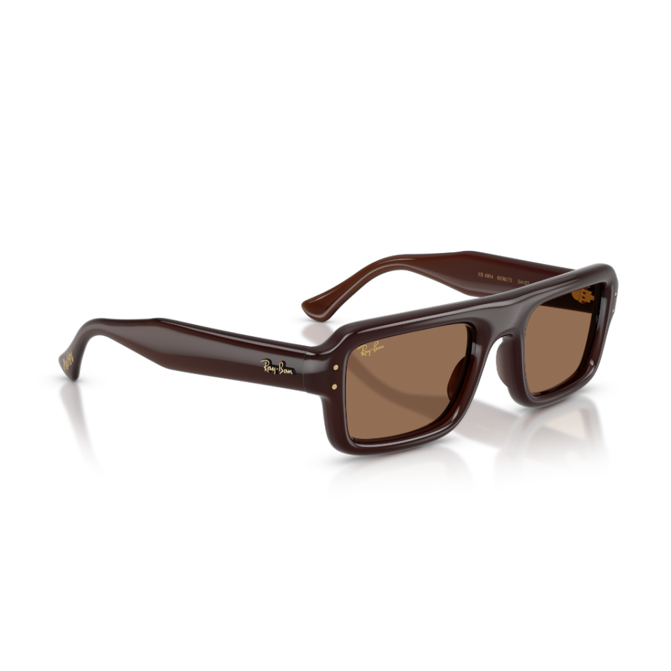 Ray-Ban RB 4954 689673 52 Güneş Gözlüğü