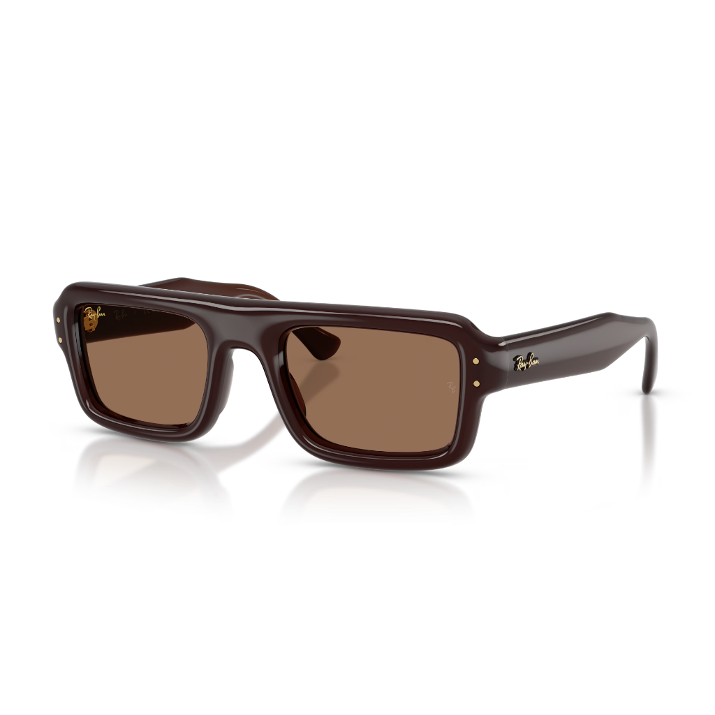 Ray-Ban RB 4954 689673 52 Güneş Gözlüğü