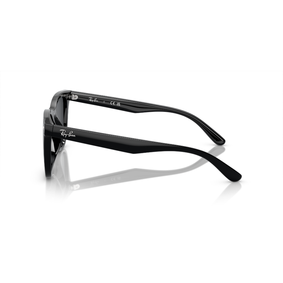 Ray-Ban RB 4420 601/87 65 Güneş Gözlüğü