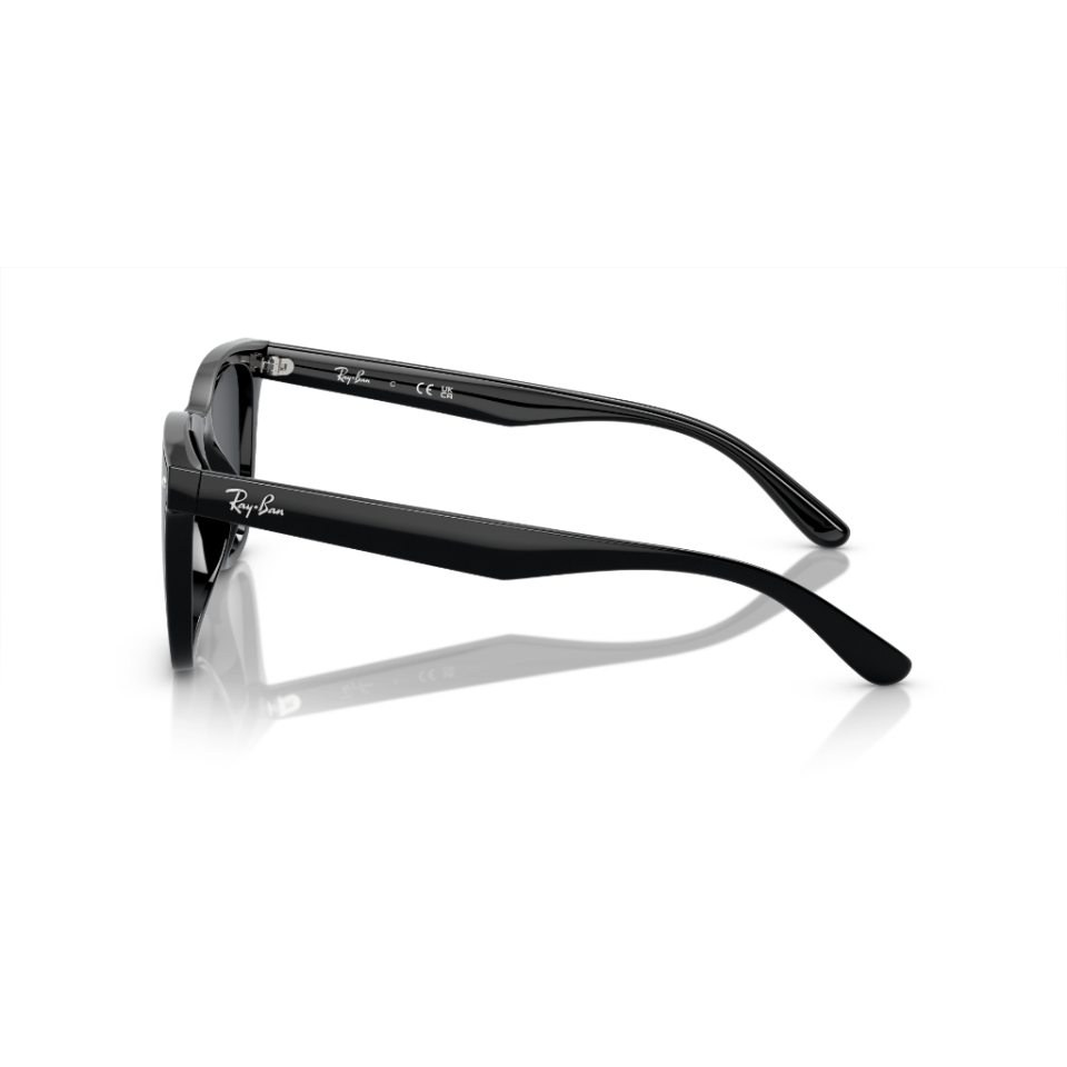 Ray-Ban RB 4420 601/87 65 Güneş Gözlüğü